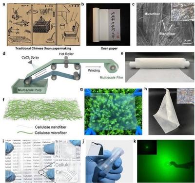 中國(guó)科學(xué)技術(shù)大學(xué)引領(lǐng)創(chuàng)新 新型柔性顯示膜材料問(wèn)世，開(kāi)啟顯示技術(shù)新篇章