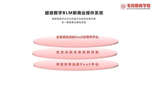 超級數(shù)字BLM新商業(yè)操作系統(tǒng) 引領(lǐng)數(shù)字技術(shù)服務(wù)新紀元